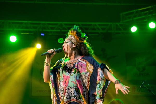 Bloco carnavalesco Bora Coisar desfila em Brasília nesta quinta-feira (23)