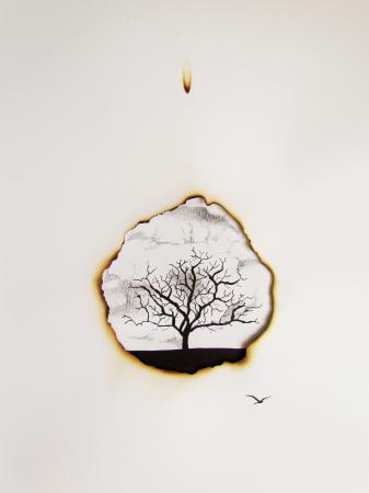 Artista cearense realiza exposição individual na FUNARTE de Brasília