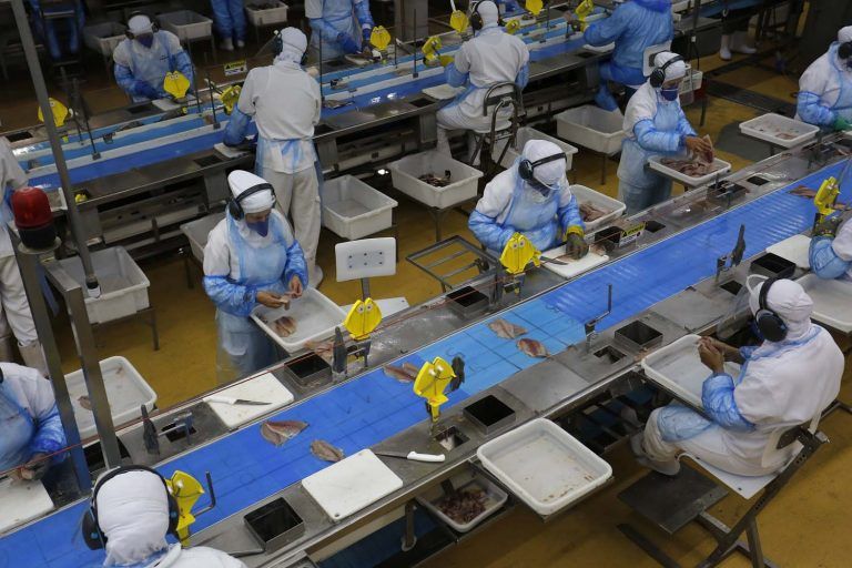 Comissão discute efeitos da pandemia no mercado de trabalho; acompanhe