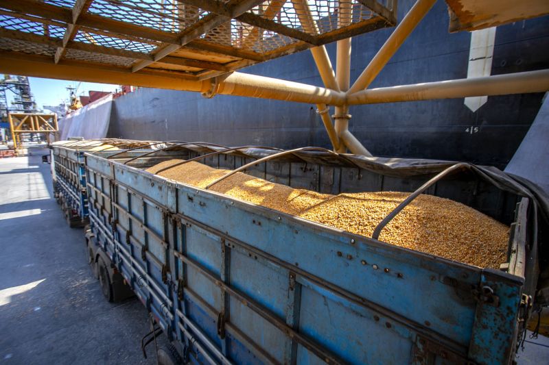 Porto de Paranaguá começa a receber milho de importação