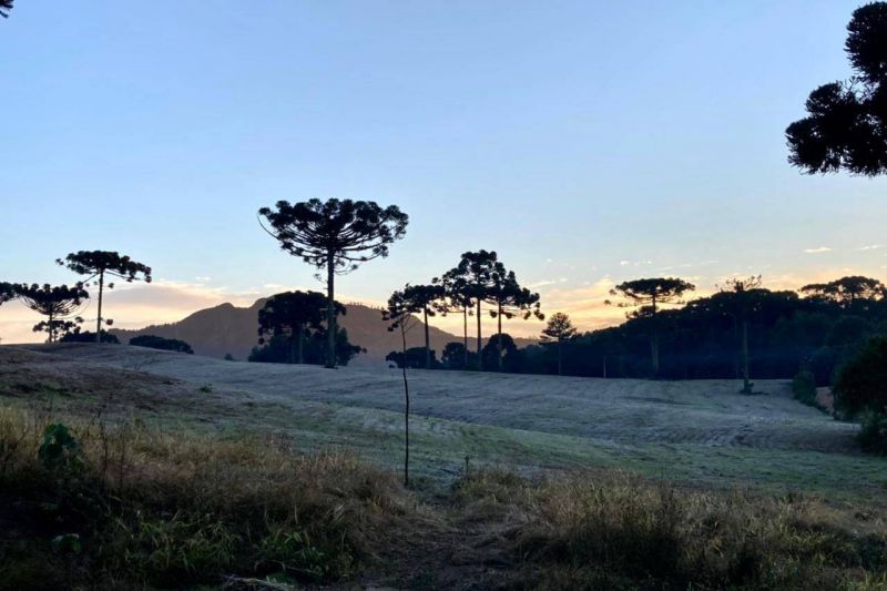 Paraná registra novas temperaturas negativas com a mais intensa massa de ar frio do ano