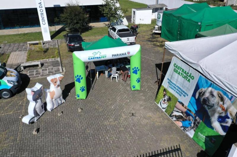 CastraPet garantiu a esterilização de mais de 700 animais em Piraquara