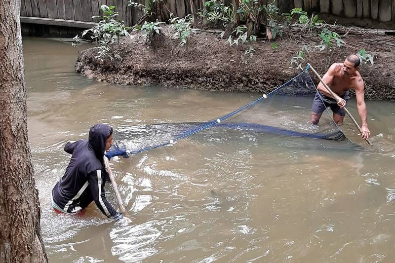 Curso da Sedap ensinou boas práticas para cultivo de peixes aos piscicultores de Limoeiro do Ajuru