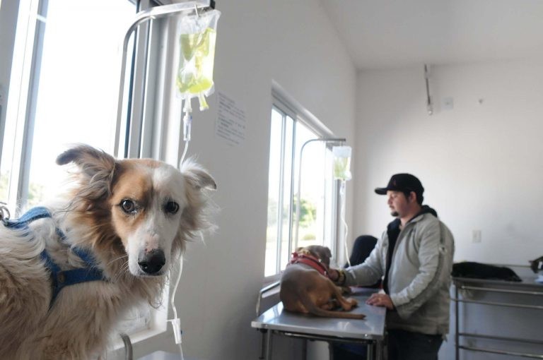 CAS pode incluir fisioterapeutas no Saúde da Família