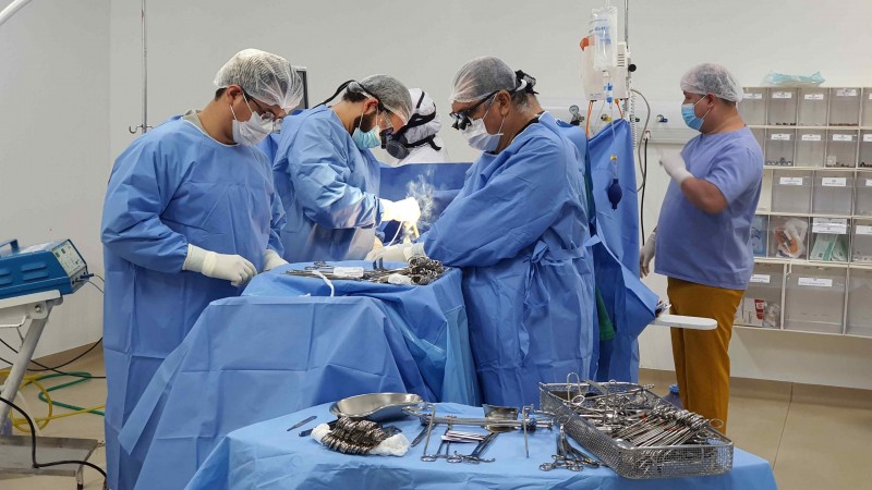 Secretaria da Agricultura emite alerta fitossanitário para cigarrinha do milho