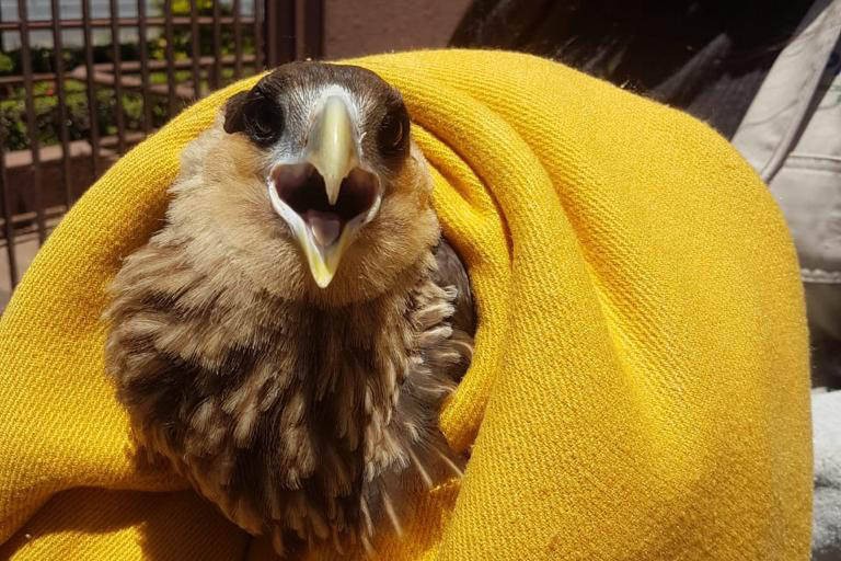 Hospital Geral de Tailândia é o único no Norte e Nordeste a integrar o Projeto Nestlé Health Science