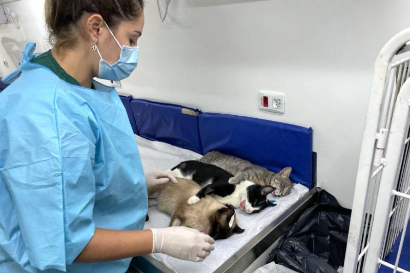 Empresas têm até sábado para resgatar parcela do Auxílio Emergencial PR de setembro