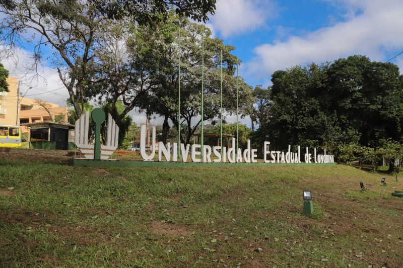 Governo do Amazonas recebe dois novos lotes com 133.050 doses de vacinas contra a Covid-19