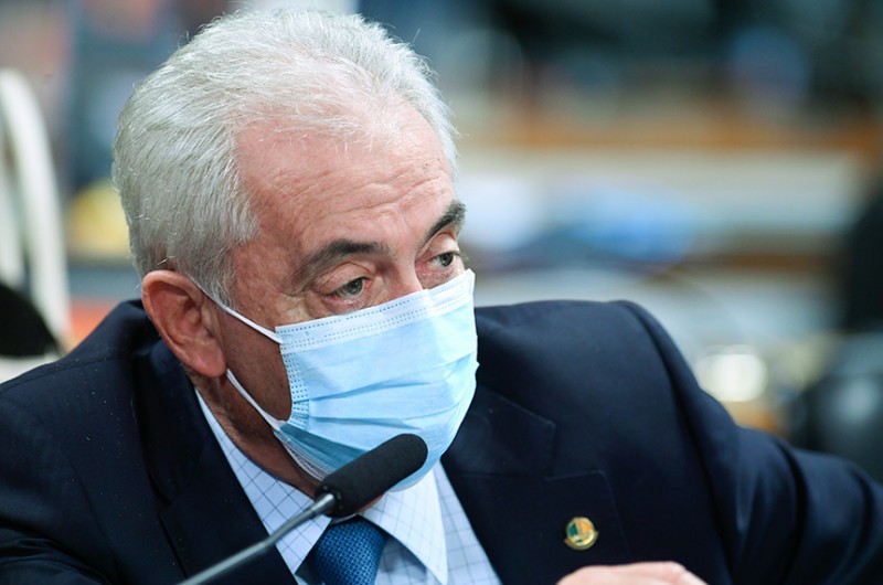 Vai à sanção projeto que proíbe abate de cães e gatos pelo poder público