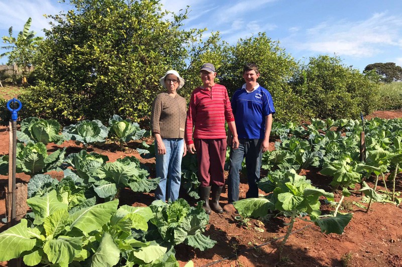 Lasier pede alterações no projeto que altera a Lei de Improbidade Administrativa