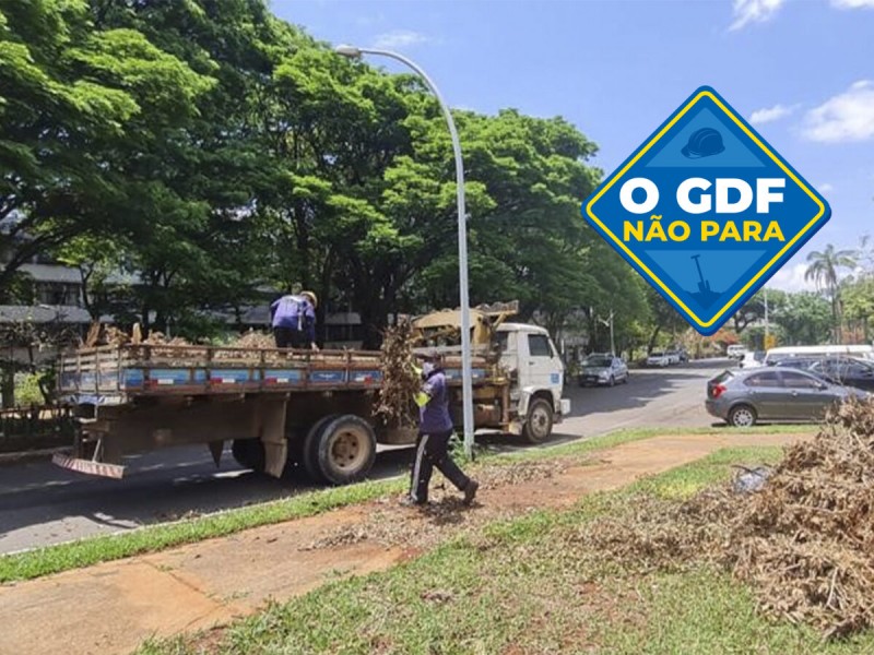 GDF Presente retira 16 toneladas de lixo da 402 Norte