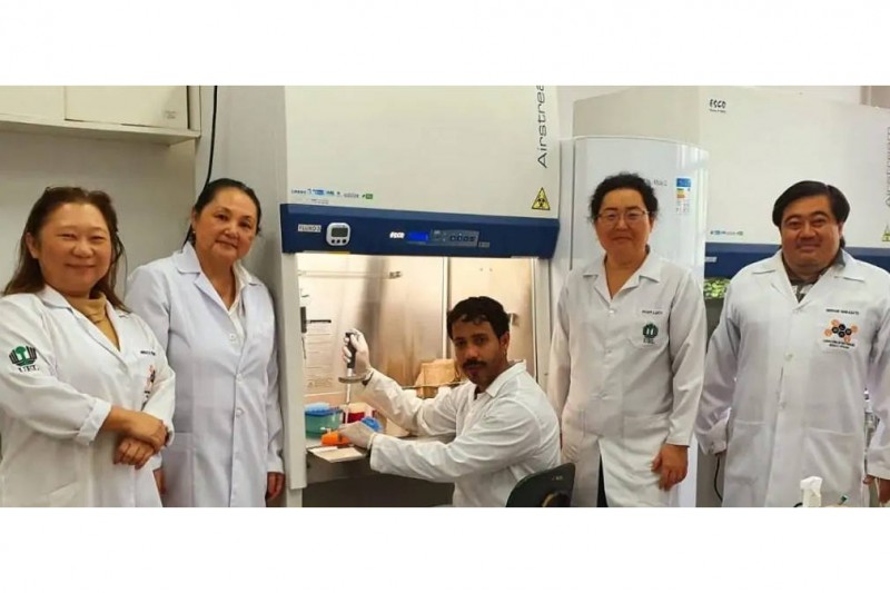 Pesquisa aponta que antibiótico desenvolvido com óleo de copaíba apresenta menor toxicidade