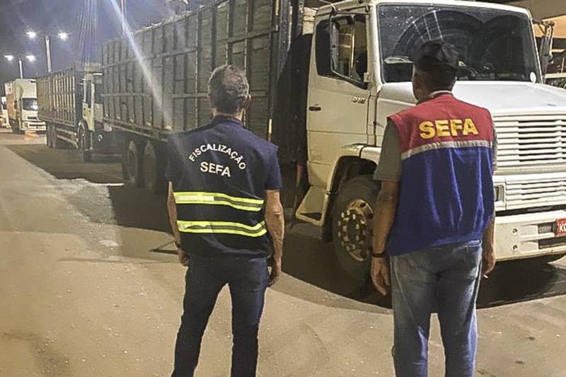Sefa apreende 85 cabeças de gado sem nota fiscal em Dom Eliseu  