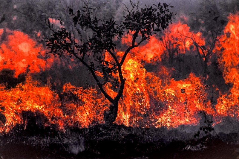 Derrubado veto a recursos para internet nas escolas