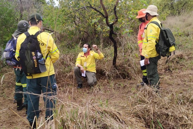 Curso de perícia em incêndio florestal capacita servidores