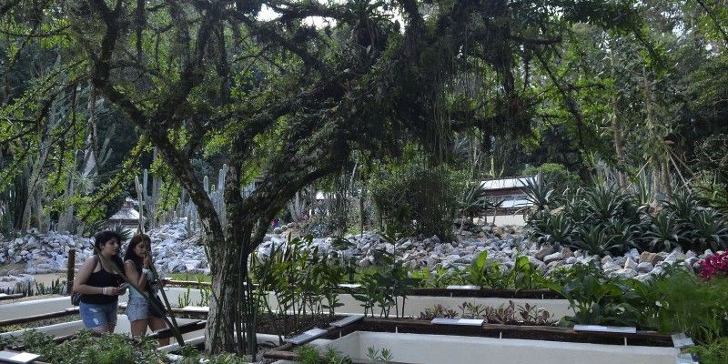 Paim homenageia Dia Nacional de Luta da Pessoa com Deficiência