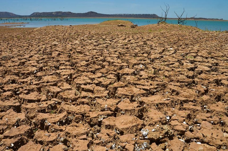 Pesquisa CovacManaus aponta que 99,8% dos vacinados apresentaram anticorpos detectáveis após a 2ª dose