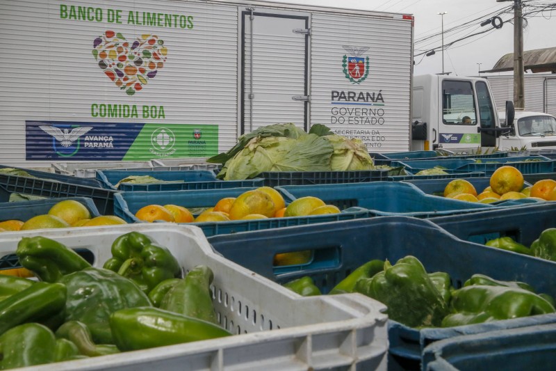 Estado comemora o Dia Mundial da Alimentação com foco na redução do desperdício