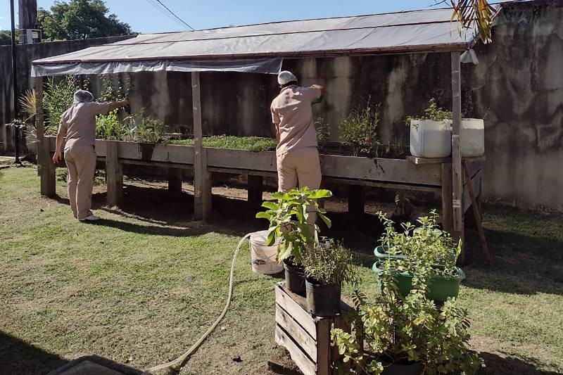 Hospital Geral de Tailândia investe na qualidade da alimentação servida aos usuários