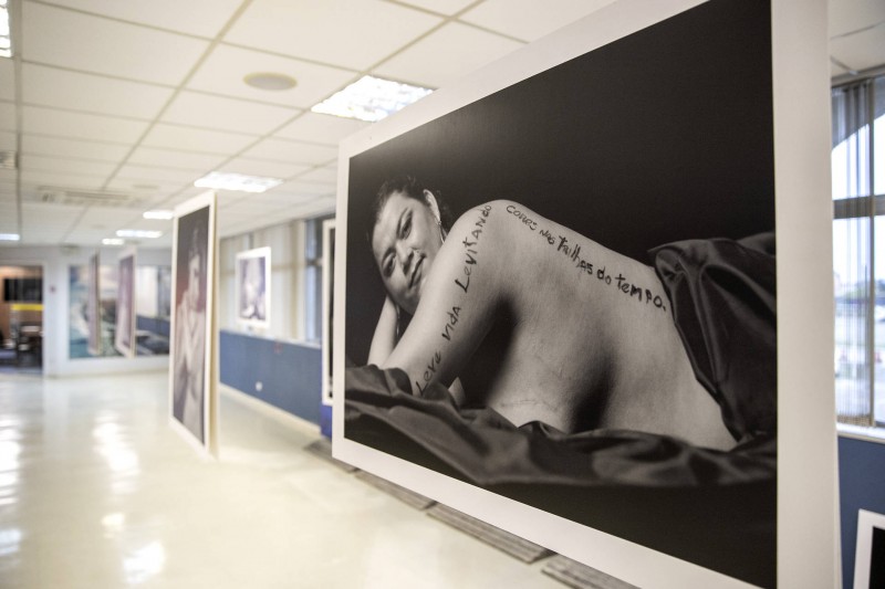 Comissão debate violência doméstica e familiar contra a mulher