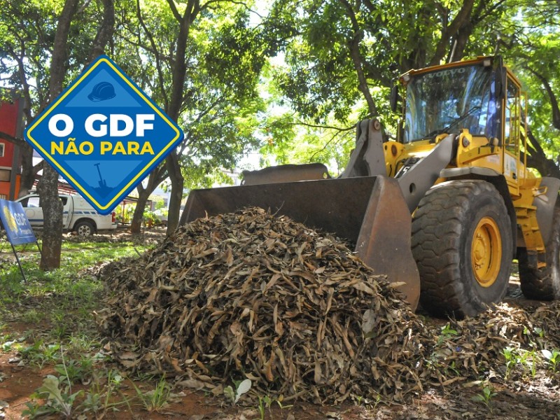 Recolhimento de lixo verde vai evitar problemas com chuvas