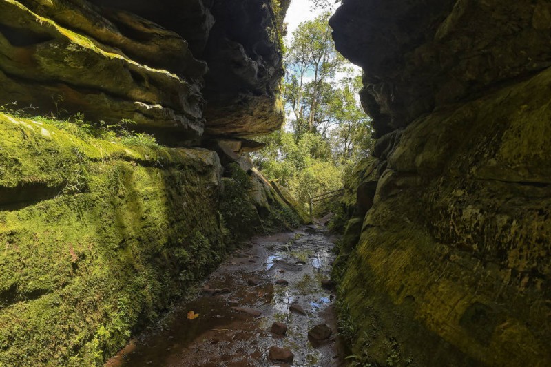 População pode enviar sugestões para projeto de concessão do Parque do Guartelá