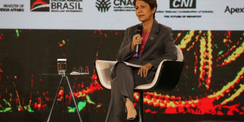 Agropecuária é parte da solução para mudanças climáticas, diz ministra