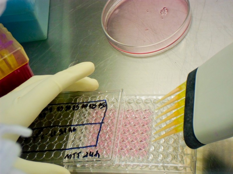 Comissão do Esporte e Senado homenageiam atletas paralímpicos