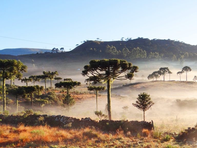 Aprovada instalação de frente parlamentar em defesa dos mototaxistas e motofretistas