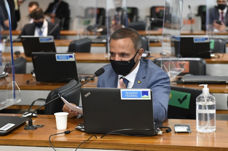 Sanepar e Embrapa vão utilizar abelhas sem ferrão para monitoramento ambiental