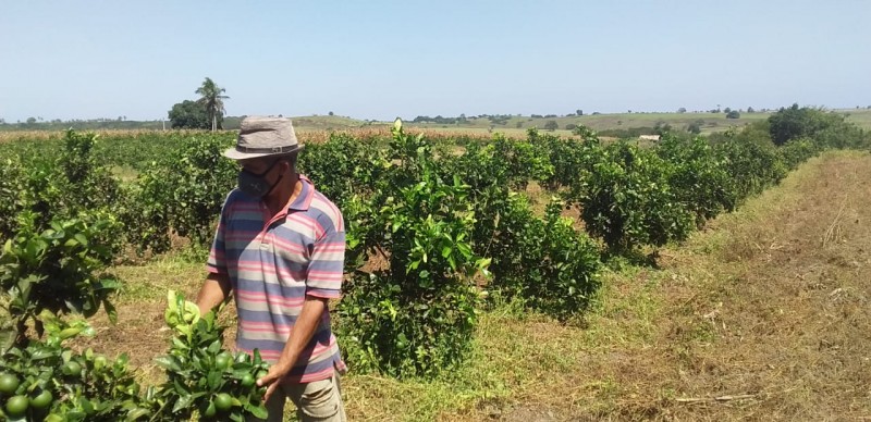 Prazo para renovação do exame toxicológico de CNHs com validade entre julho e dezembro de 2022 termina na quinta-feira (30)