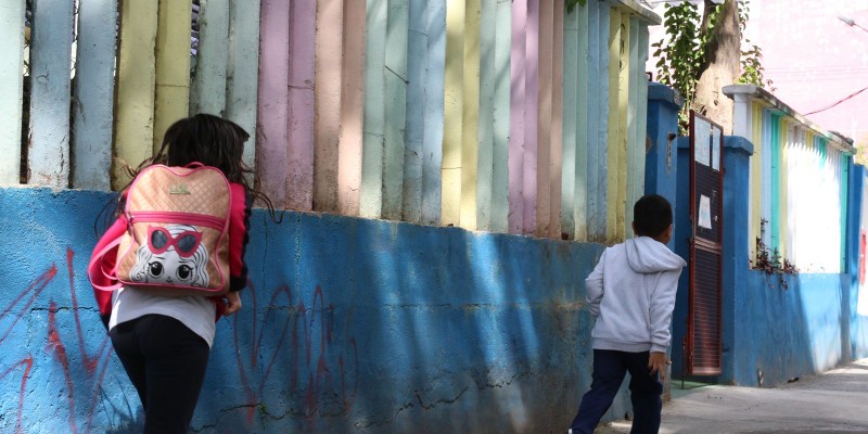 Comissão de Agricultura debate sanidade animal e exportações de carne no Rio Grande do Sul