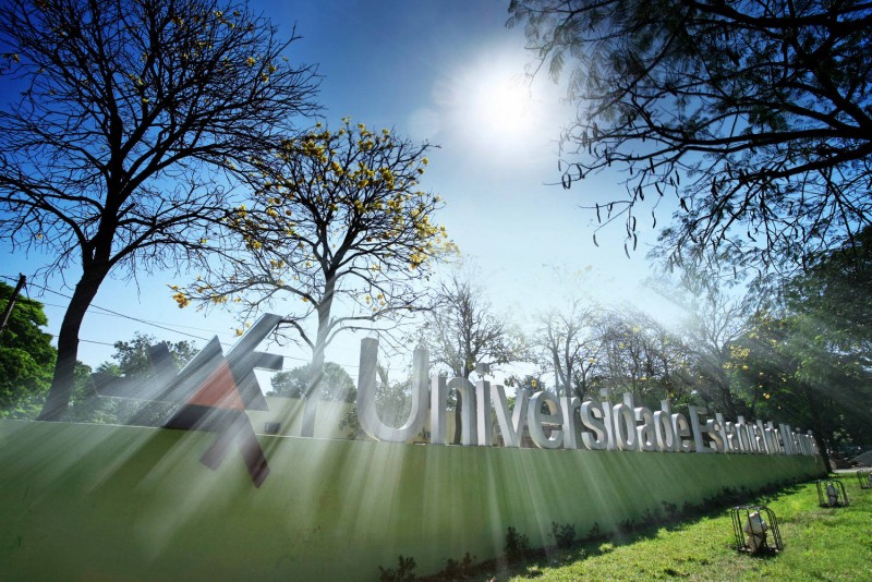 Pinacoteca de São Paulo celebra 35 anos de carreira de Rosângela Rennó