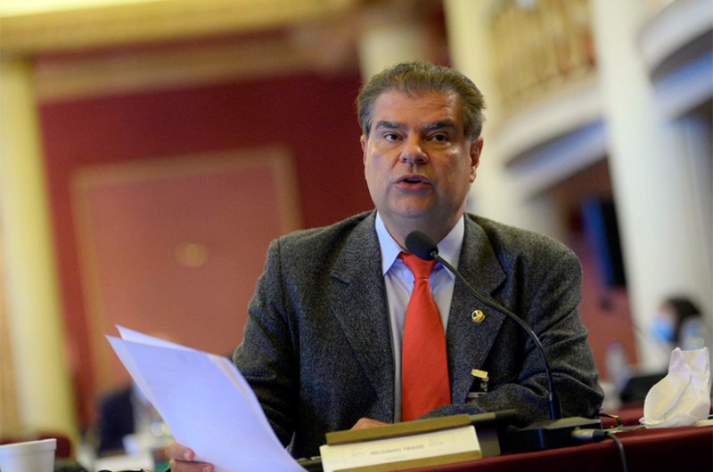 Reunião do Parlasul discute retomada econômica pós-pandemia