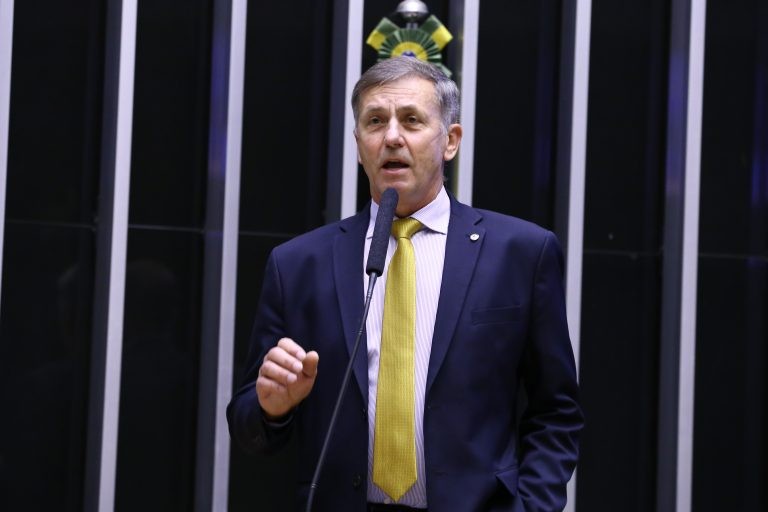 CCJ aprova projeto que autoriza criação de cadastro nacional de animais domésticos