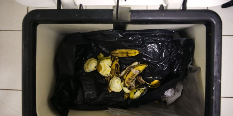 Agência Brasil explica como fazer compostagem de resíduos orgânicos