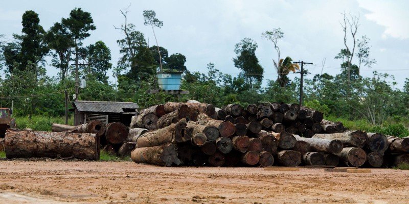 Quadro insuficiente prejudica atuação do Ibama, diz auditor do TCU