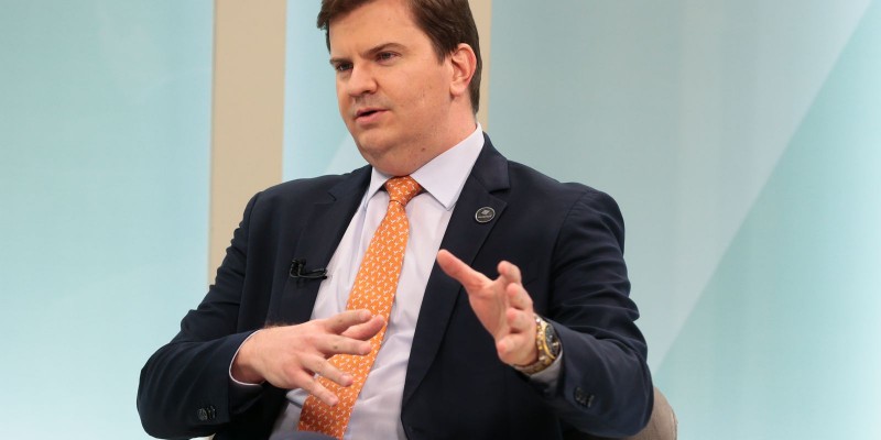 Governo cria campanha em redes sociais para ampliar proteção da fauna silvestre