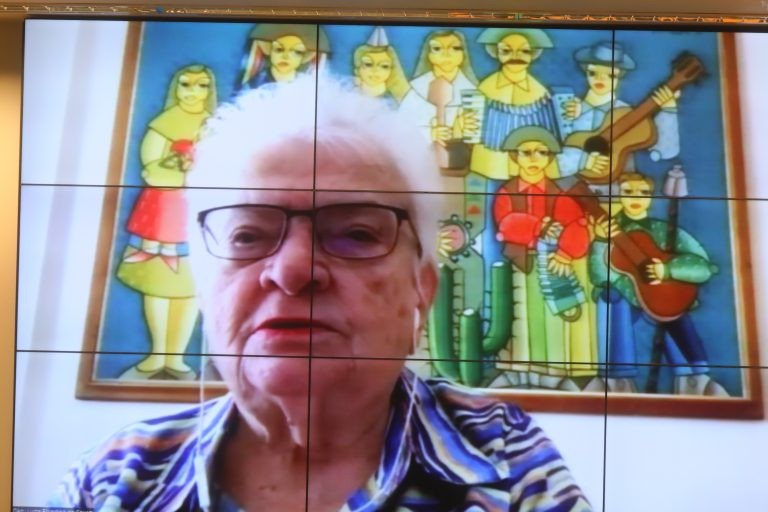 Servidores de Igarapé-Miri participam de formação oferecida pela EGPA