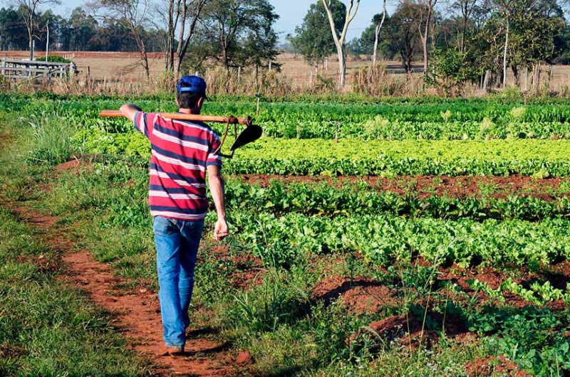 CRA: pauta tem projetos sobre crédito e assistência técnica rural